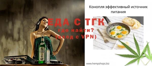 индика Саяногорск