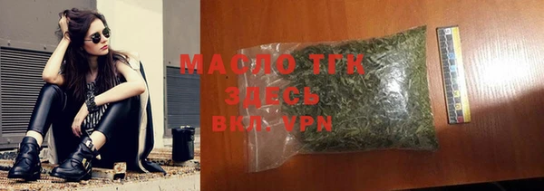 индика Саяногорск