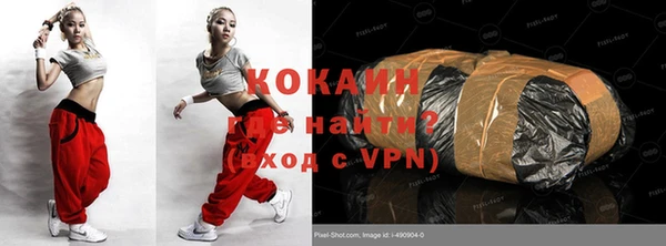 индика Саяногорск