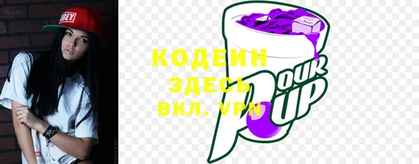 индика Саяногорск