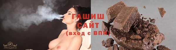 индика Саяногорск