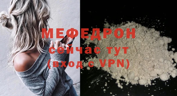 индика Саяногорск