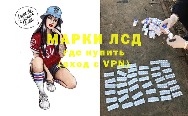 индика Саяногорск