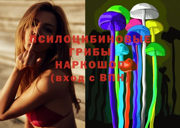 индика Саяногорск