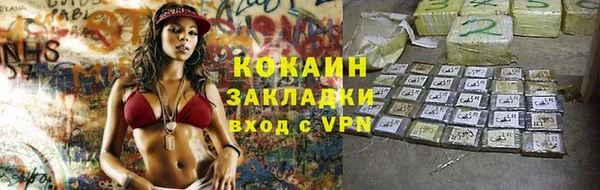 индика Саяногорск