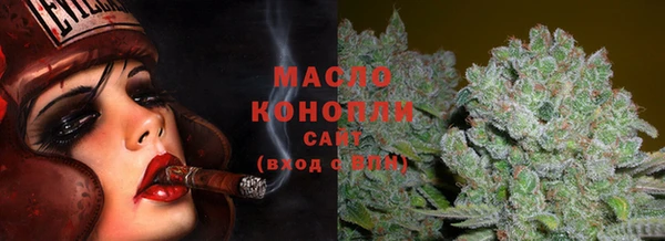 индика Саяногорск