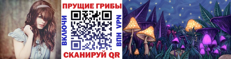 Купить  Козьмодемьянск  Галлюциногенные грибы Psilocybe 